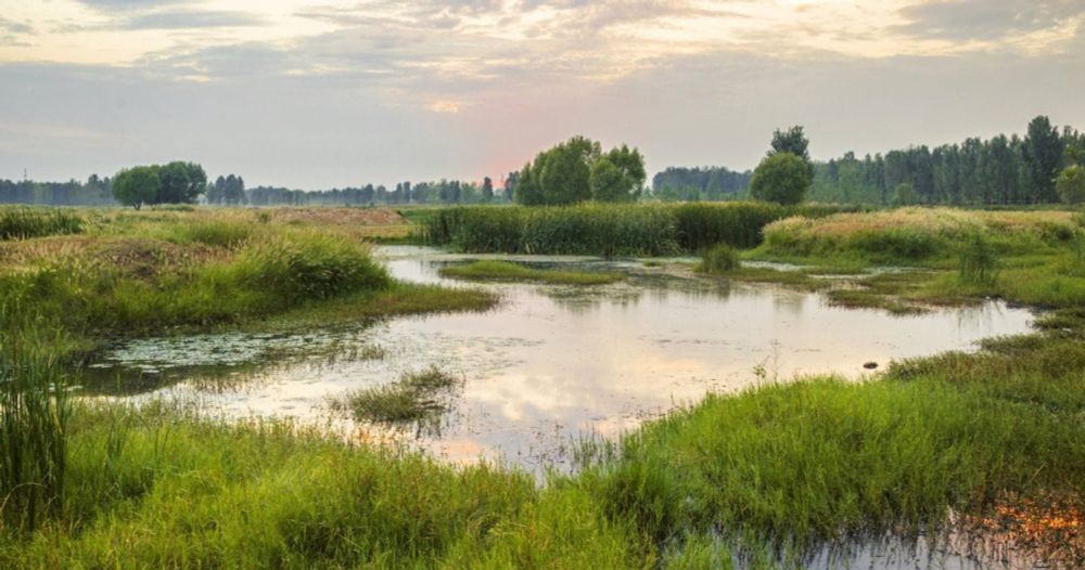 Faktencheck Artenvielfalt: Ein Weckruf für mehr Naturschutz