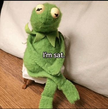 Kermit the frog sitting with his legs crossed and the text “I’m sat.”