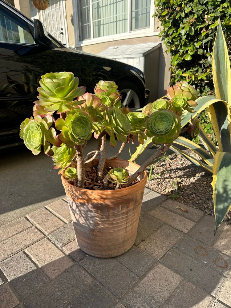 Photo of various outdoor plants
