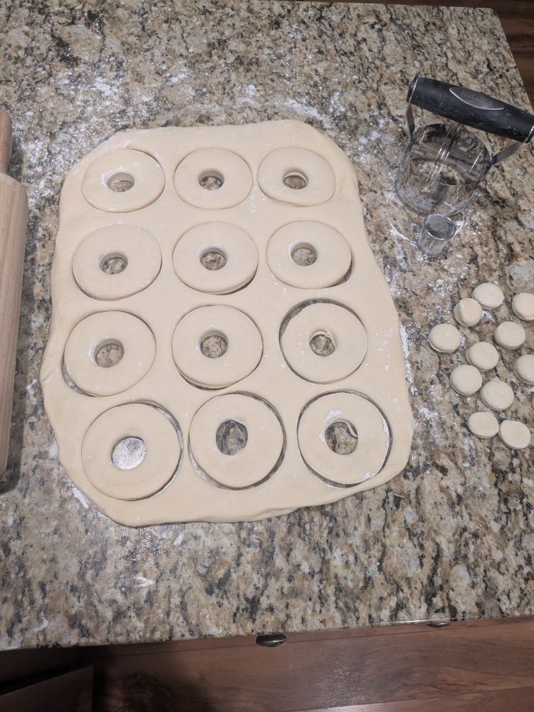 A sheet of donut dough with donut shapes cut out. I rolled it a little uneven so the ones at the bottom are a bit thinner...