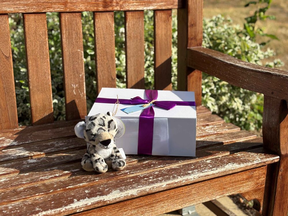 Memory box and teddy