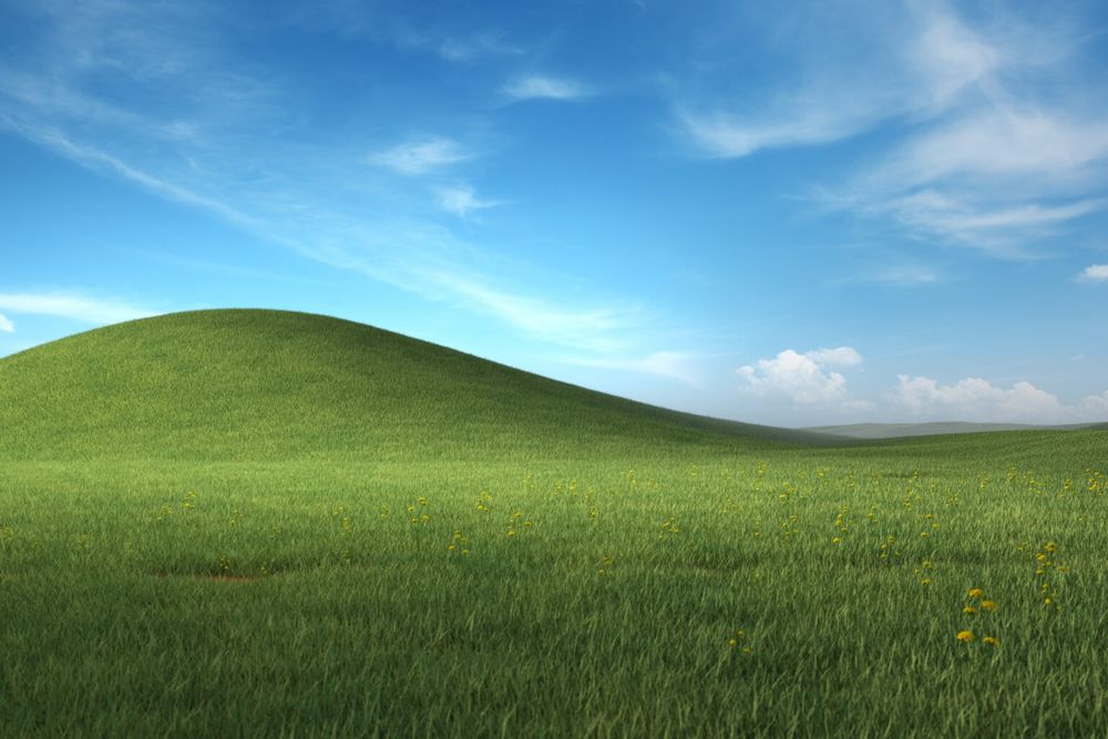 Green pasture blue sky bliss Windows XP background 