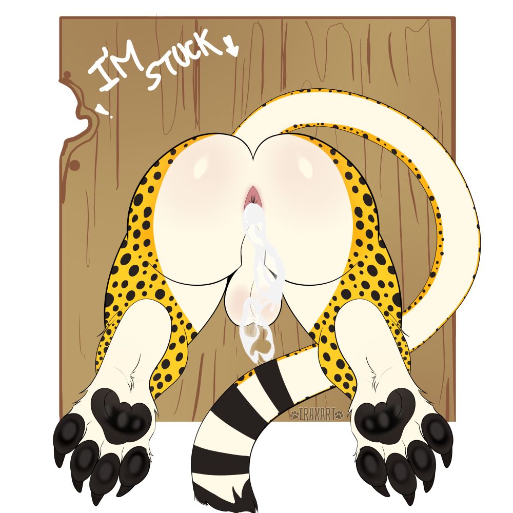 Anthro cheetah stuck showing off his butt after someone made a mess