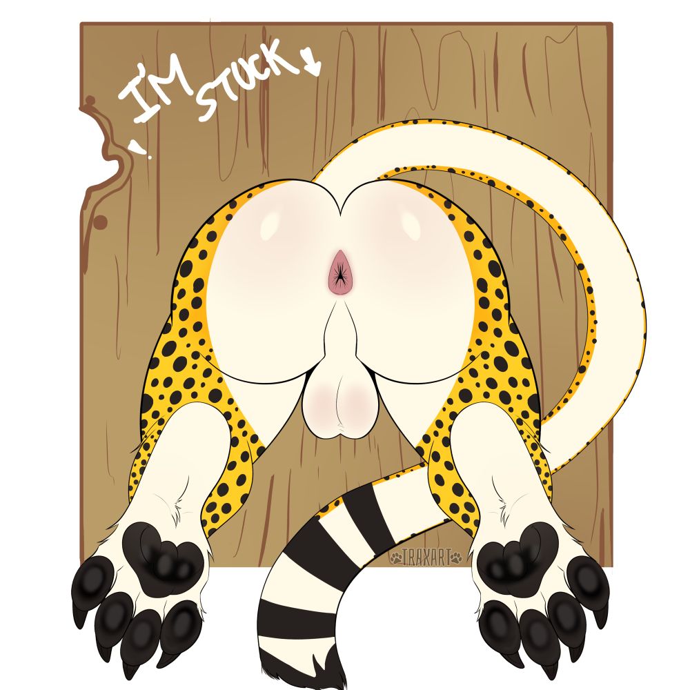 Anthro cheetah stuck and showing off his butt