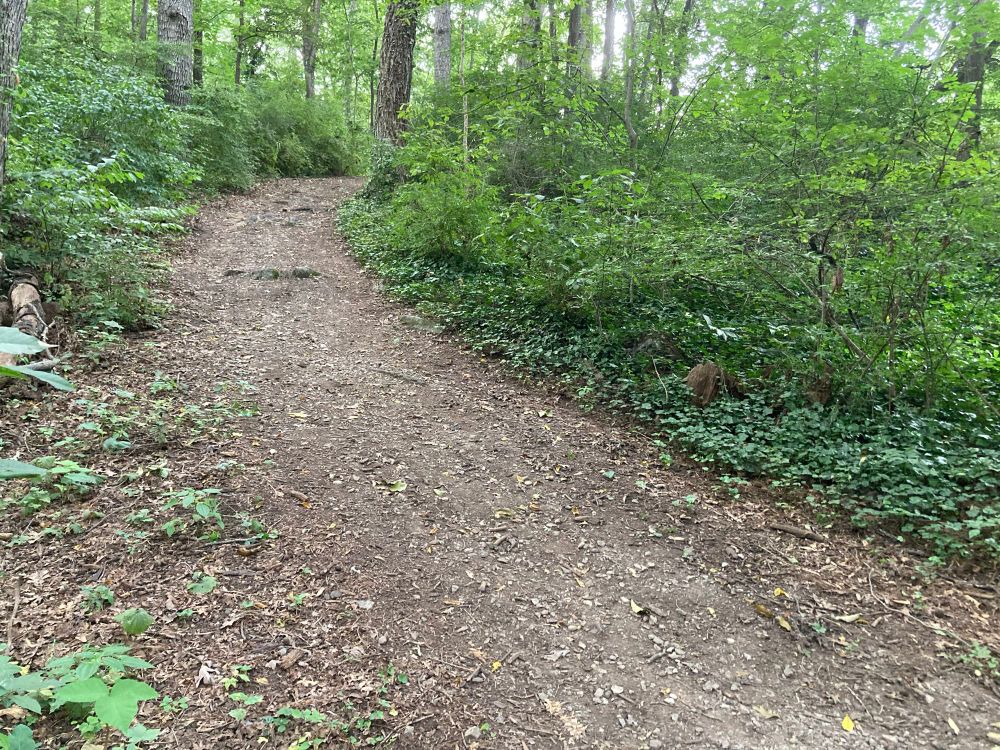 Dirt running trail over wooded knoll