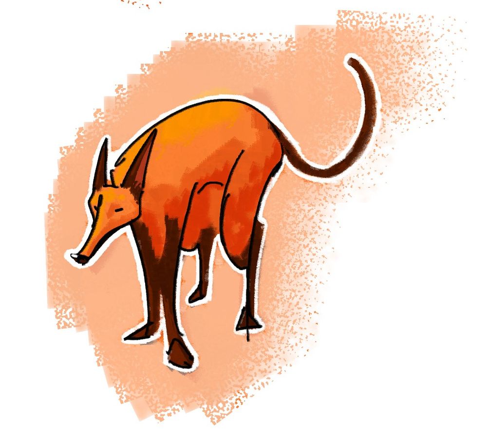 tentativa de lobo guará