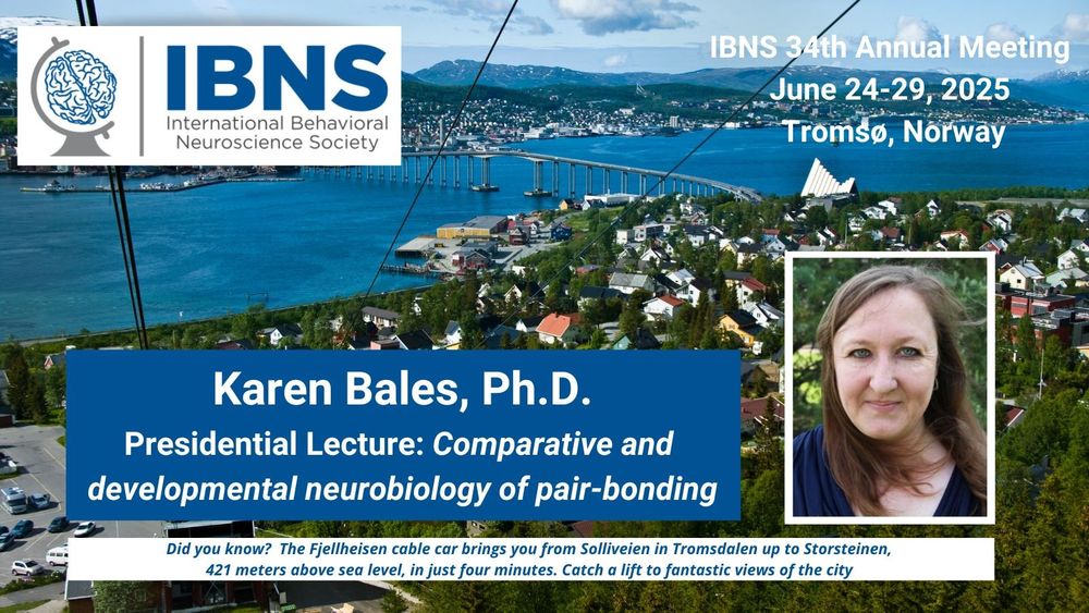 Karen Bales, Ph.D. will give the IBNS Presidential Lecture:  Comparative and developmental neurobiology of pair-bonding. June 24-29, 2025 in Tromso, Norway.