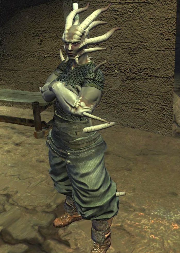 a shek from kenshi