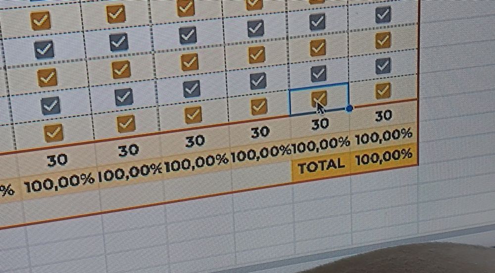 Spread sheet showing 100% progress
