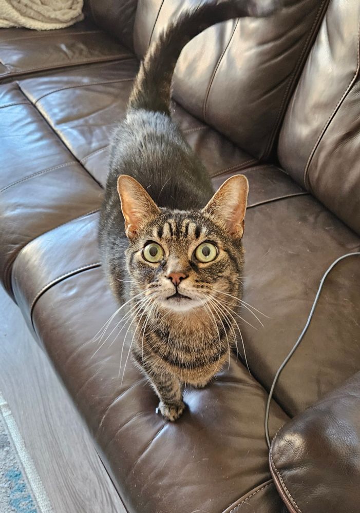 Photo of Jerry looking at the camera.