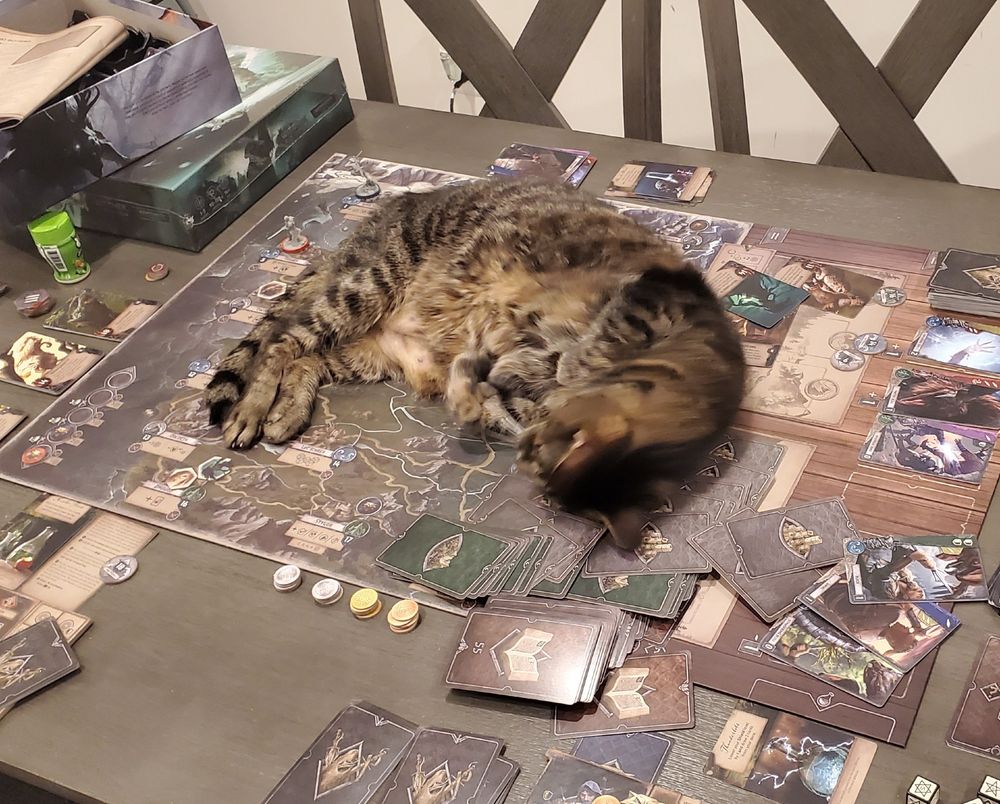 Photo of Jerry sprawled across a board game.