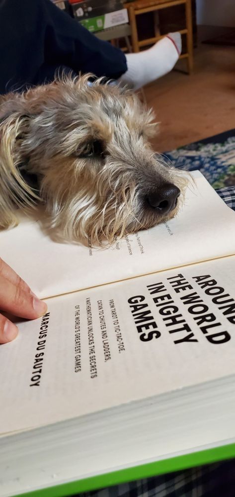 Artie the dog with his head in the book "Around the World in Eighty Games".