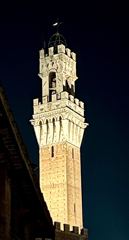 View of the lone tower of the Palazzo Publico in Siena at night.