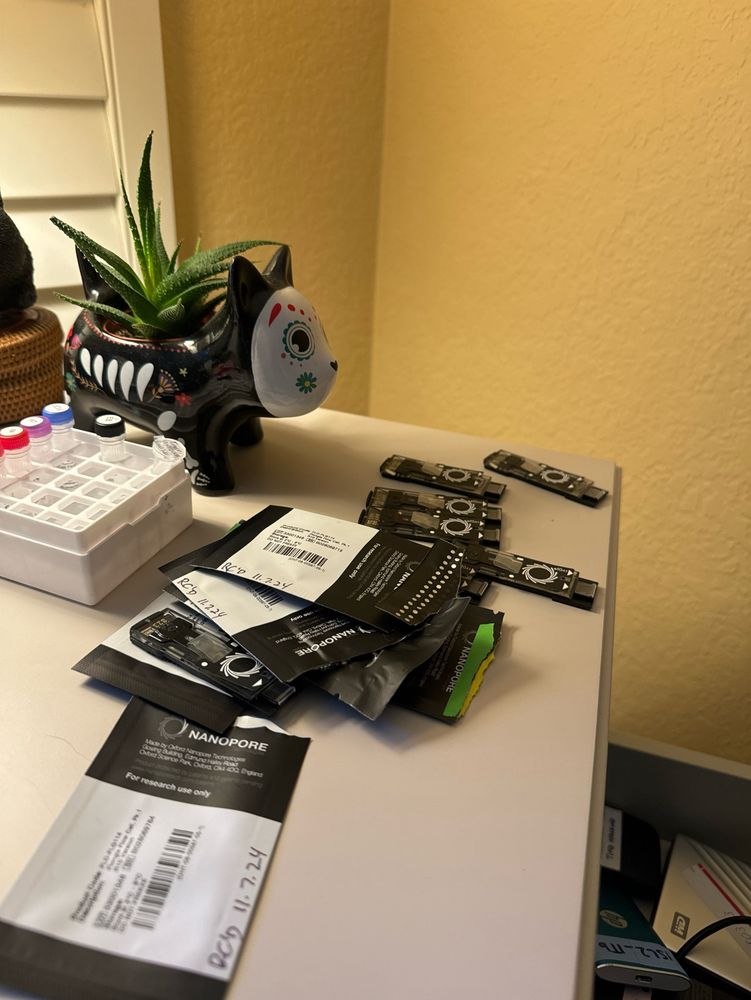 Desk with pile of small sequencing flowcells called flongles and a desk plant and lamp