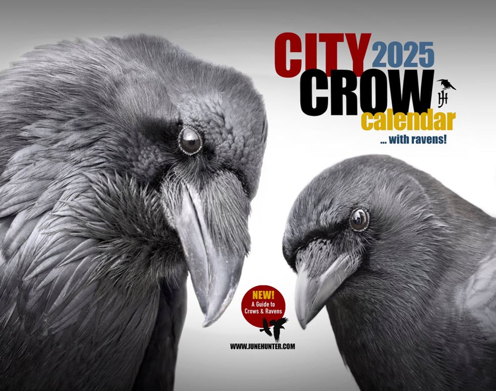 City Crow Calendar