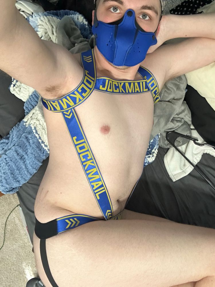 Himbo dog laying in messy bed showing off fuzzy armpit