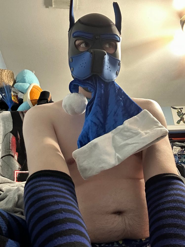 Drew dog sitting holding blue Santa hat in mouth while wearing the blue pup mask with collar and black and blue thigh socks and arm warmers 