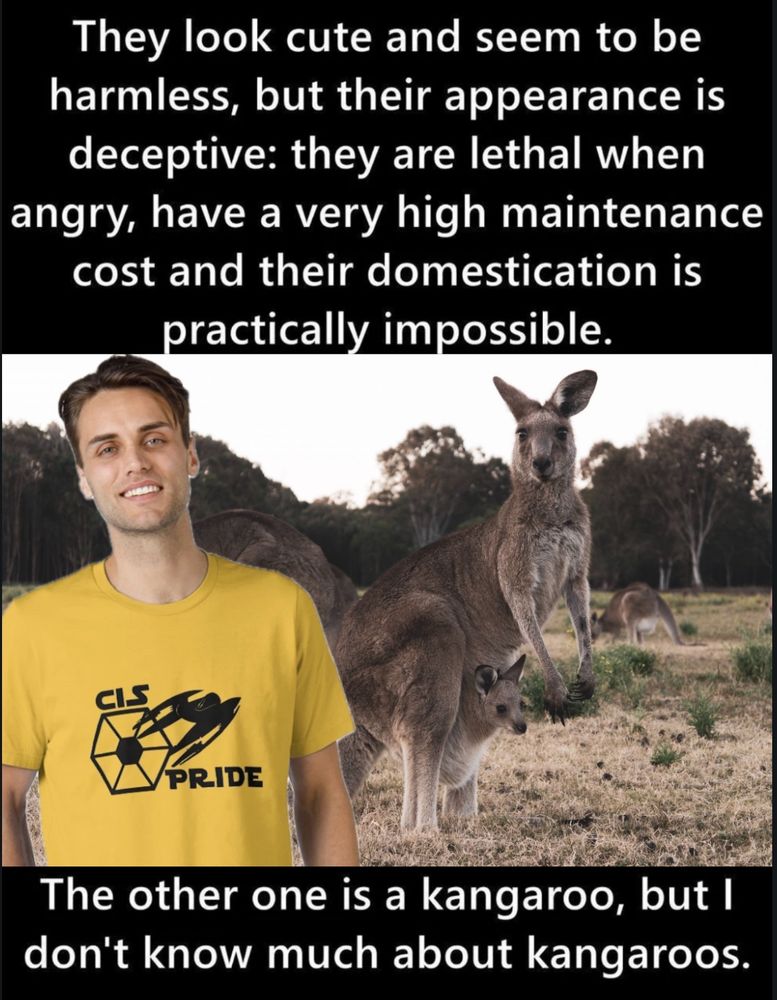 There is an image of a cisgender standing next to a kangaroo. the top caption reads: They look cute and seem to be harmless, but their appearance is deceptive: they are lethal when angry, have a very high maintenance cost and their domestication is practically impossible. this is where the picture is located the bottom caption reads: The other one is a kangaroo, but I don't know much about kangaroos.