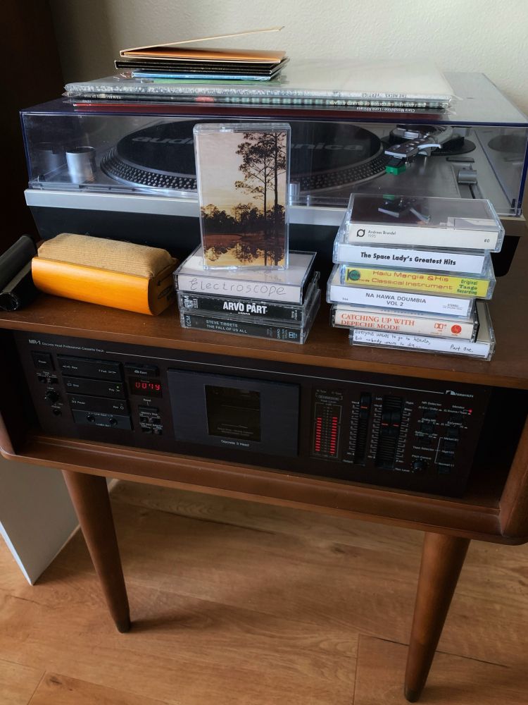 Silver Jews - Starlite Walker (1994)