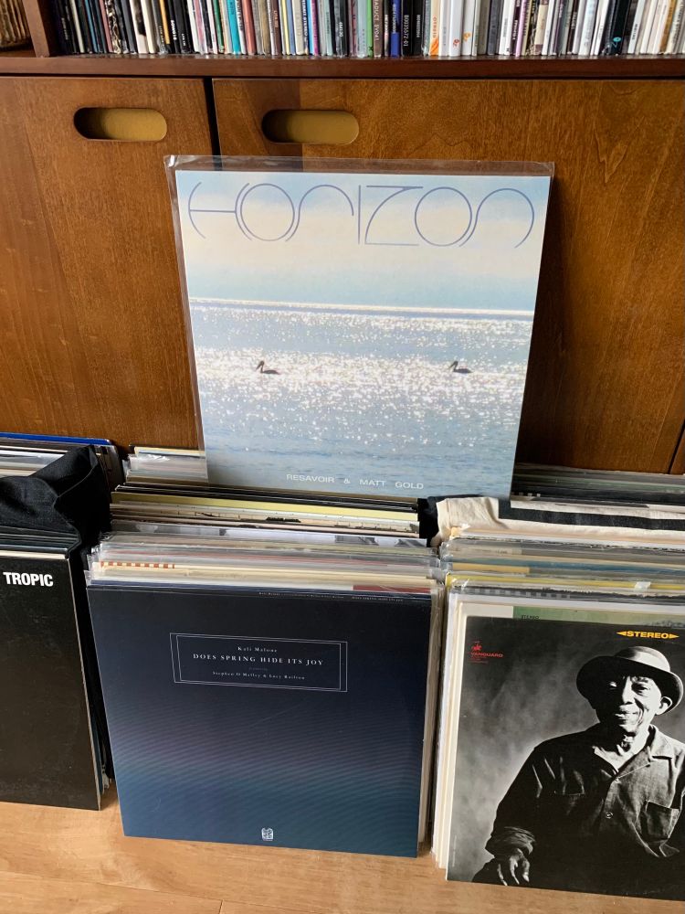 Horizon 
by Resavoir & Matt Gold

Read/listen/purchase here:

https://intlanthem.bandcamp.com/album/horizon