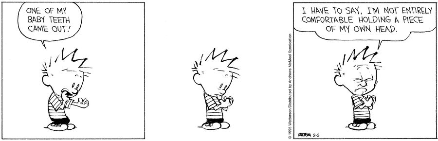Today's Calvin and Hobbes, February 03, 2025