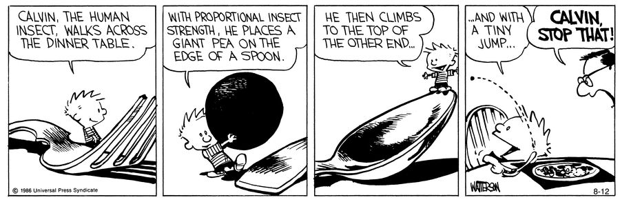 Calvin and Hobbes from the archive! August 12, 1991