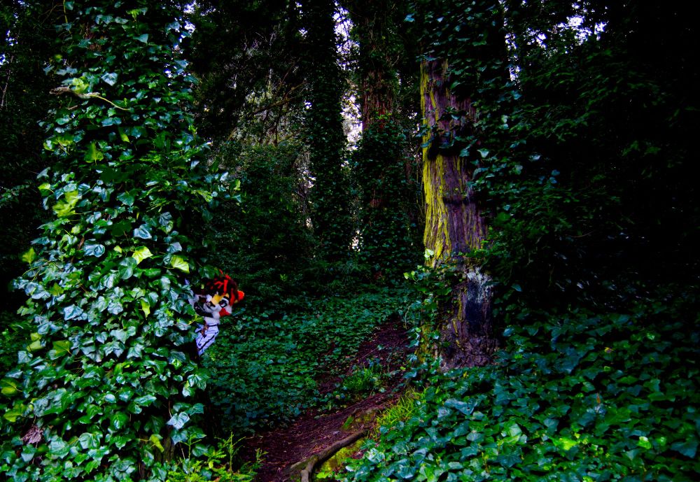 Dense foliage. A fursuiter, perhaps a cat of some kind with orange and black hair, pokes his head out from behind a tree to look at the viewer.