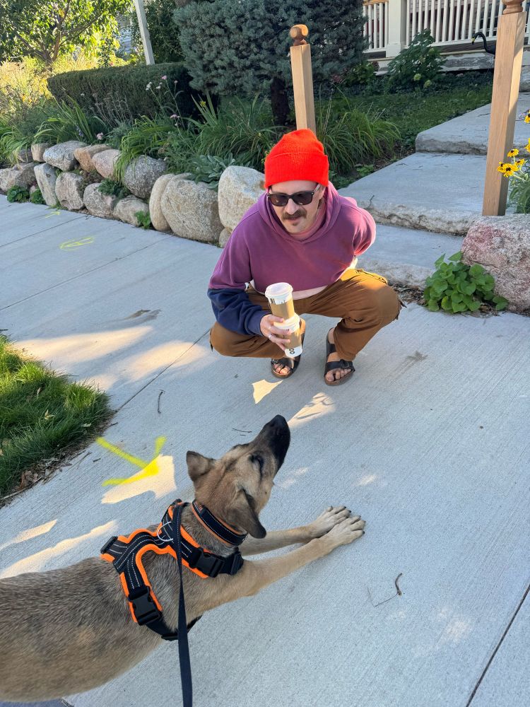 Shepherd mix pup with black muzzle, wearing an orange and black harness is doing a downward dog stretch in front of a white guy crouching in front of him on the sidewalk. Guy has mustache and dark sunglasses and is wearing a red tuque, purple shirt, and brown pants. He’s holding two to-go coffee cups.