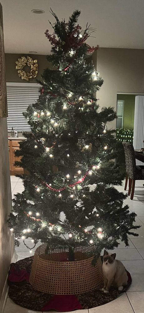 Christmas tree chandler 