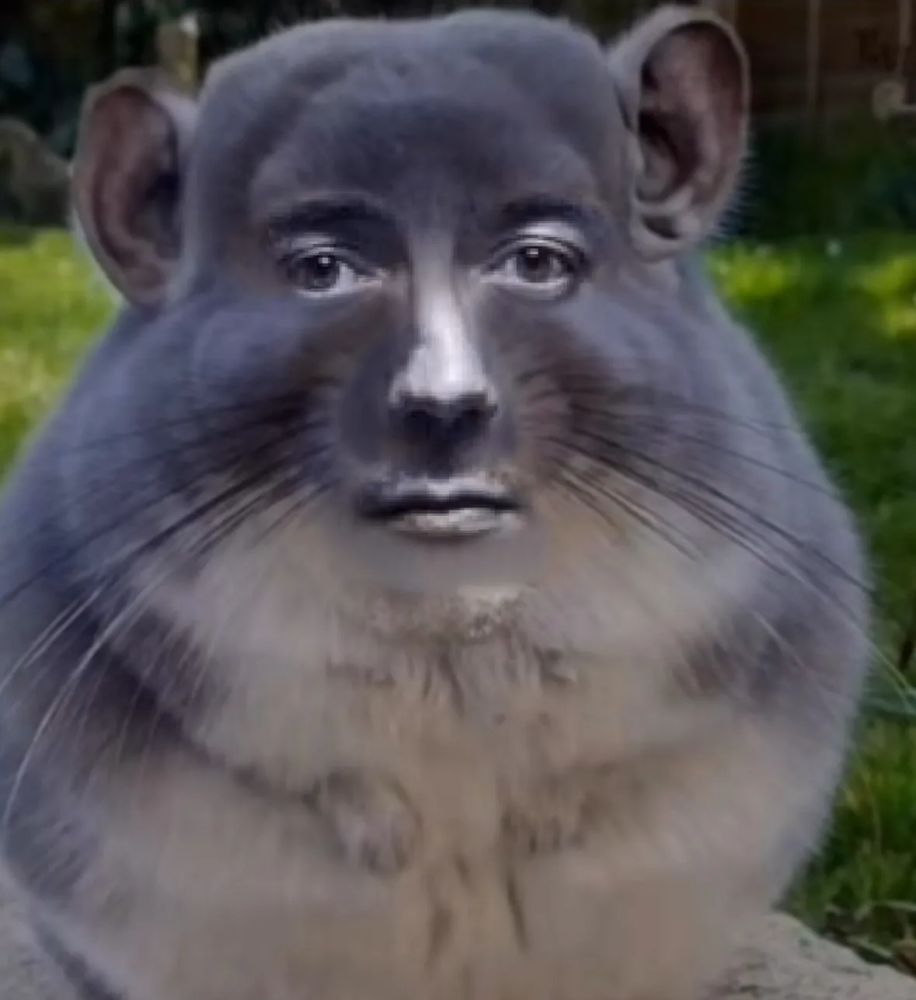 neige's face edited onto a chinchilla with human ears. I don't know why I made this