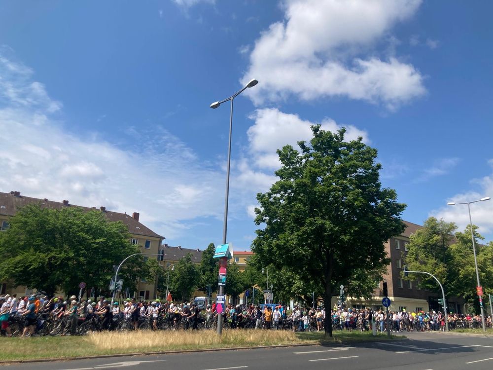 Einer der 60 Bäume auf dem Mittelstreifen des Tempelhofer Damms. Fotografiert während der Sternfahrt im Sommer 2024