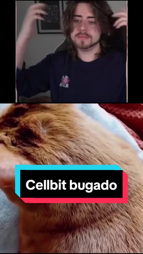 Dessa vez o Cellbit foi longe 😂 . Vídeo: Cellbit rachando o bico com os memes confusos  Canal: Lives do Cellbit . #fy #fyp #cellbit #cellbitclips 