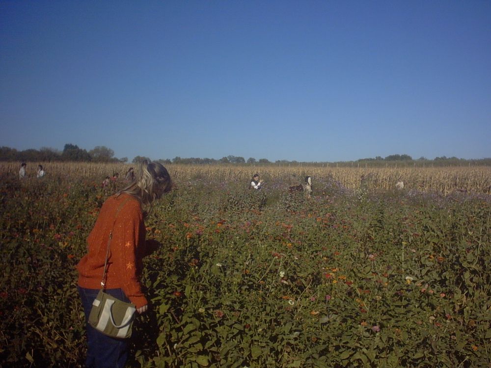 me (Saige!) standing in a field of flowers looking down at them. I'm wearing an orange cardigan and dark blue jeans with a green purse. my hair is curled and tied half up half down. 
