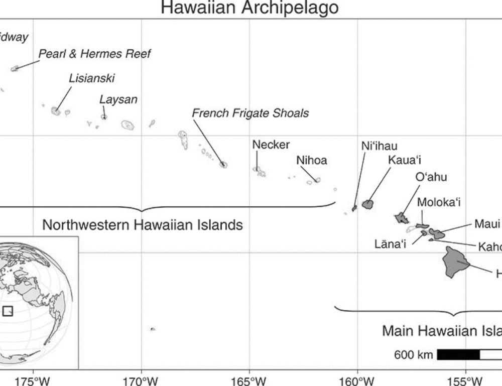 Four decades of Hawaiian monk seal entanglement data reveal the benefits of plastic debris removal