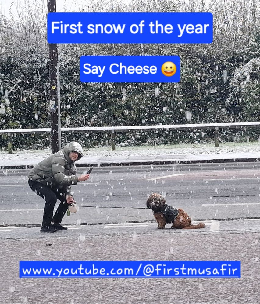 Comment image