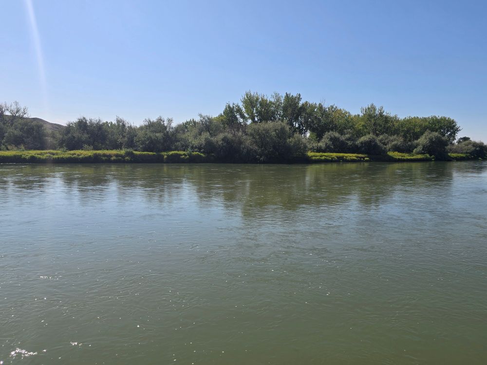 View of the Bighorn River from #CampRedDragon in the SE Montana.