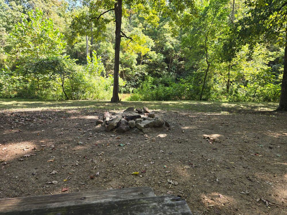 View beyond the fire pit. Buffalo Creek is on the other side of the shrubs.