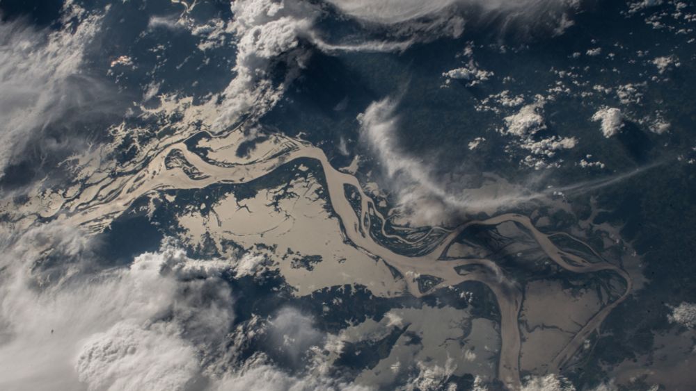 ‘Three Rivers of Woe’ — David Quammen on Climate Change, Extinction, and Epidemics • The Revelator