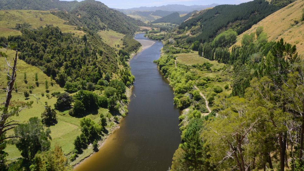 The Te Awa Tupua Act: An Inspiration for Communities to Take Responsibility for Their Ecosystems • The Revelator