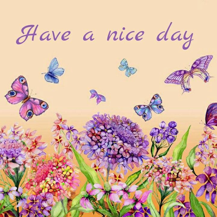 Comment image