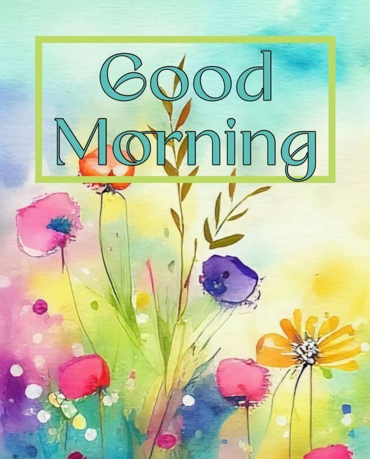 Comment image