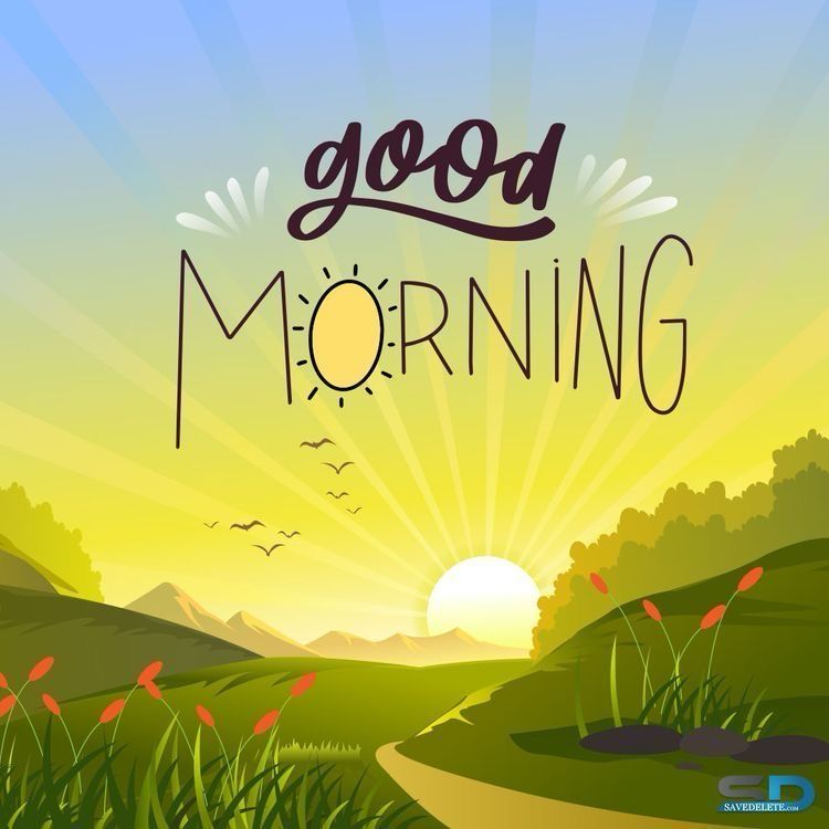 Comment image