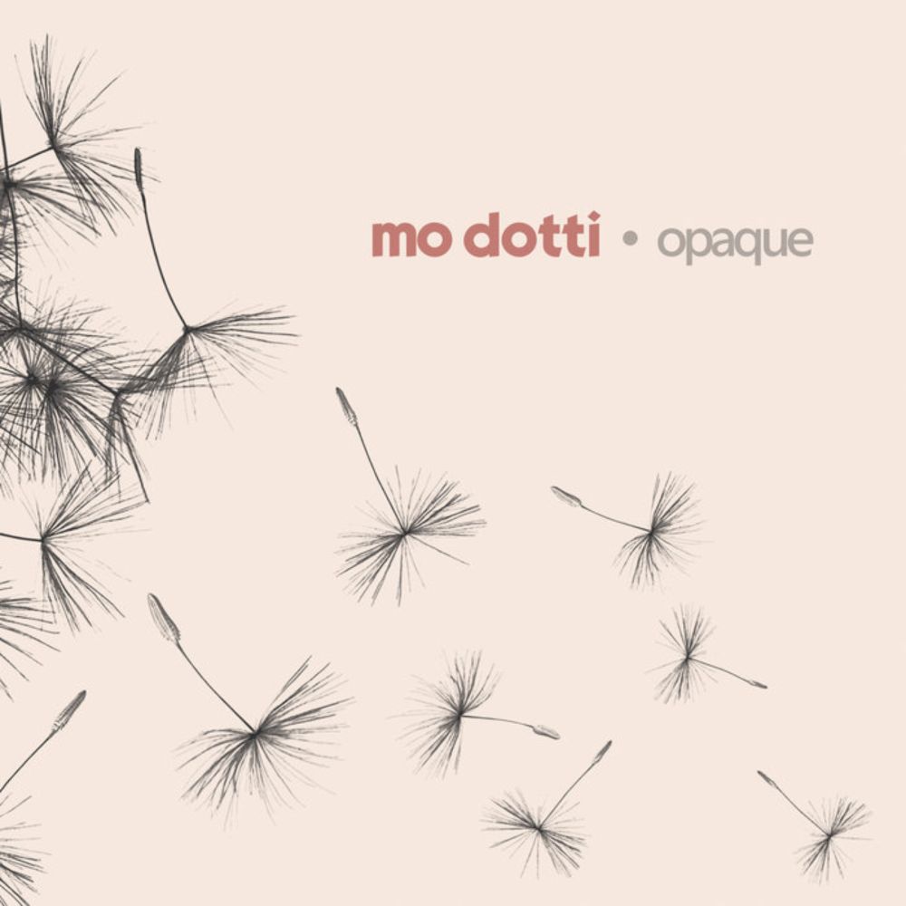 opaque, by Mo Dotti