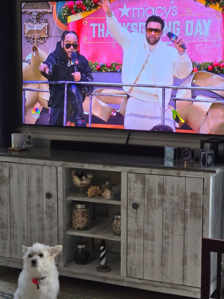 A clearly disappointed white terrier standing in front of the tv. On the tv is a scene from the Macy's Thanksgiving Day Parade where Shaggy and Rayvon performed a medley that had the humans in the house dancing and singing in the kitchen 