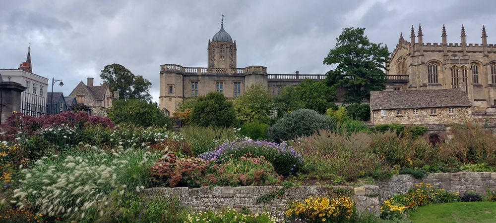 Ulike gamle universitetetsbygg i bakgrunnen og en hage med ulike blomster i forgrunnen. 