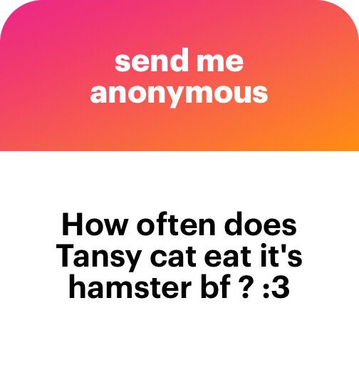 A question from anonymous Q&A app NGL. It reads: “How often does Tansy cat eat it's hamster bf ? :3”