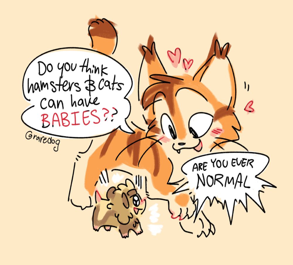 A cartoon cat and hamster walking next to each other. The cat is orange with brown stripes. He looks very excited and is blushing with little hearts around his face while looking down at the hamster and is asking "Do you think hamsters and cats can have BABIES??" and the hamster looks back up at him, blushing and embarrassed, and is yelling back "ARE YOU EVER NORMAL" (These are me and my partner's sonas and both use he/him!)