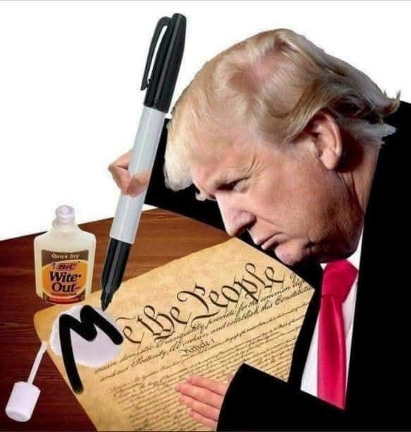 Altered composite image of President Trump using Wite-Out and a Sharpie to edit a copy of the US Constitution to begin with "Me the People" instead of "We the People". 
