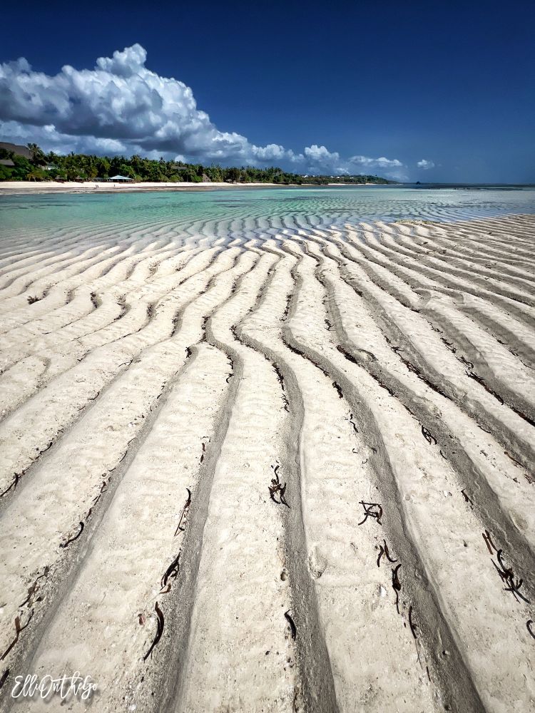 The photo captures a tropical shoreline at low tide under a deep blue sky. In the foreground, pale cream-colored sand is sculpted into long, evenly spaced ripples by the retreating water. These ridges and shallow troughs stretch diagonally into the distance, and in the mid-distance, the lines begin to form gentle, parallel curves. They continue seamlessly into the shallow turquoise water, where the sunlight plays on the submerged sand patterns. Small fragments of dark seaweed are scattered along the troughs. Beyond the ripples, a line of lush green palm trees and other coastal vegetation runs parallel to the shore, backed by dramatic white cumulus clouds billowing high against the blue sky.