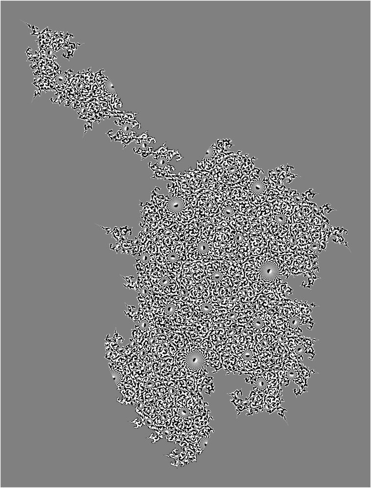 A fractal curve divides a shape into a white and a black half.